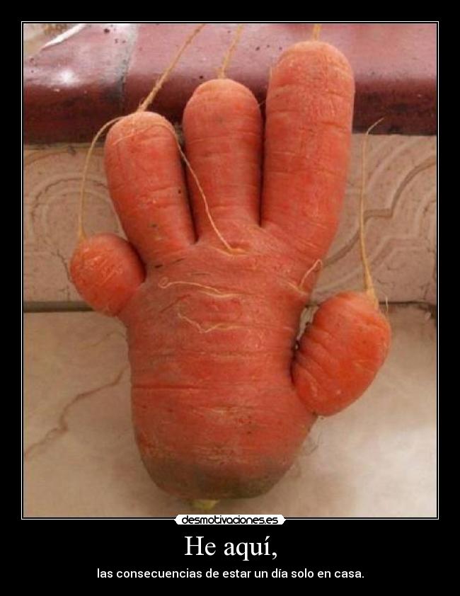 He aquí, - las consecuencias de estar un día solo en casa.