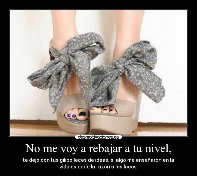 No me voy a rebajar a tu nivel, - te dejo con tus gilipolleces de ideas, si algo me enseñaron en la
vida es darle la razón a los locos.