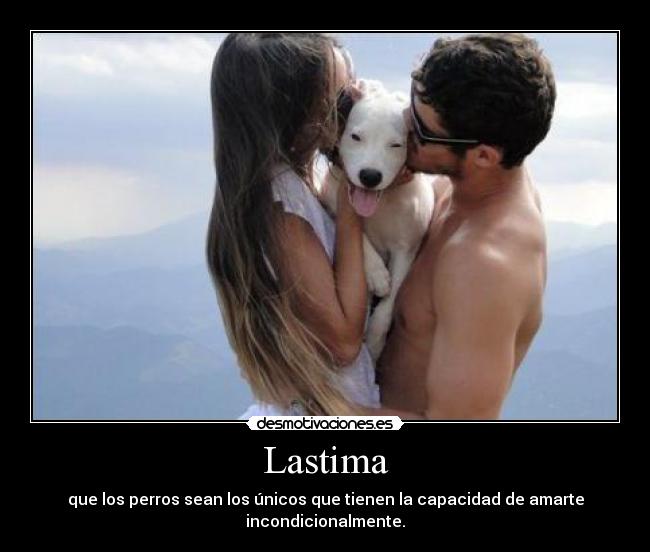 Lastima - que los perros sean los únicos que tienen la capacidad de amarte incondicionalmente.