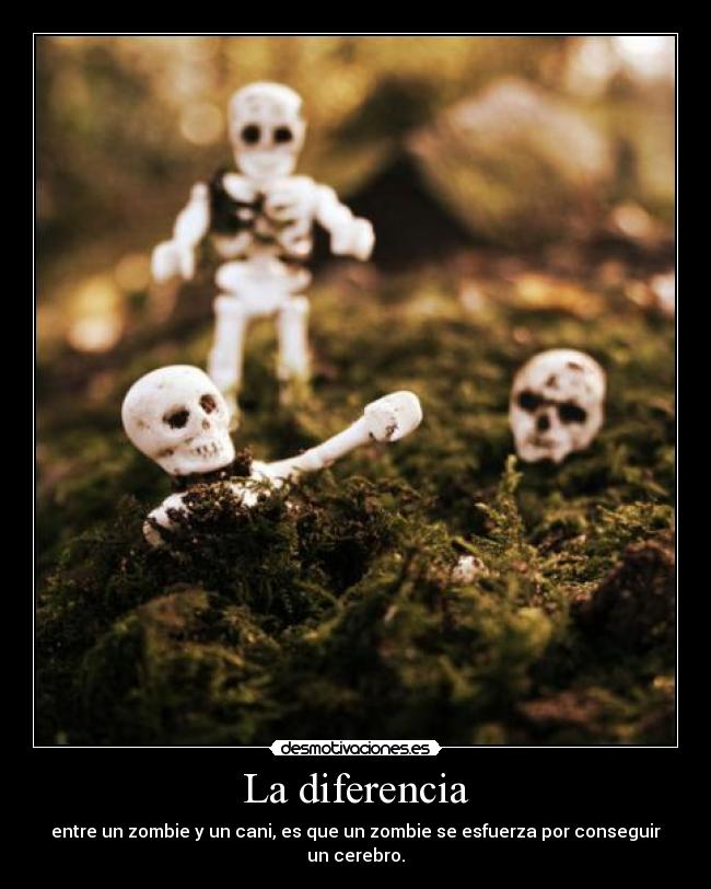 La diferencia - 