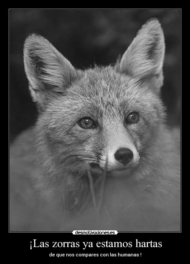 ¡Las zorras ya estamos hartas - 
