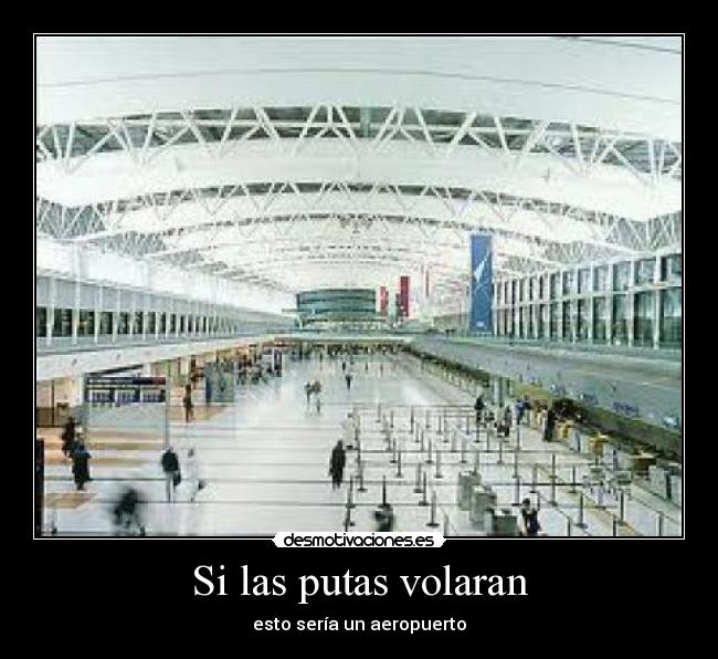 Si las putas volaran - esto sería un aeropuerto