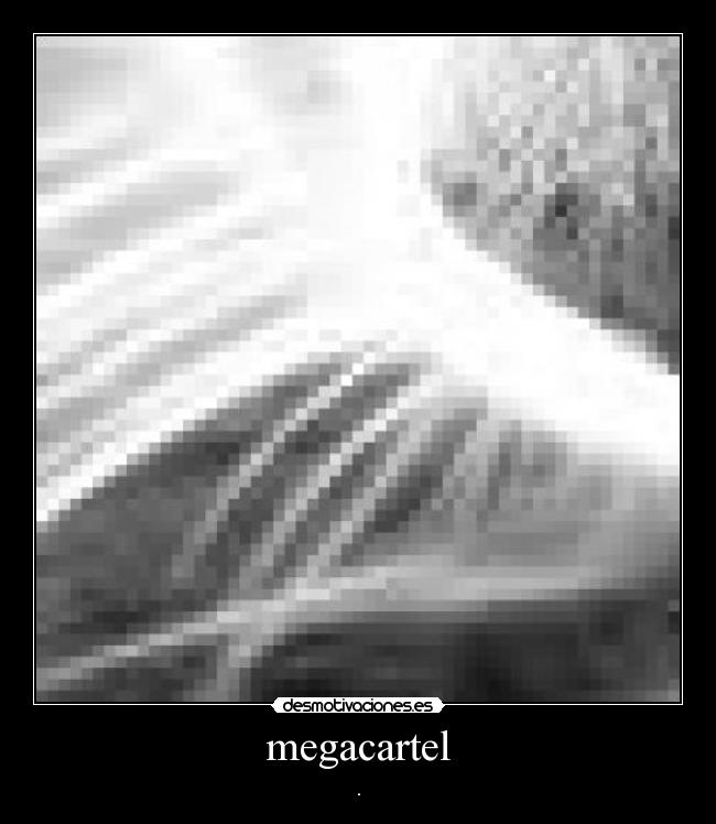 megacartel - .