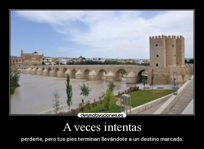 carteles podido perderme desmotivaciones