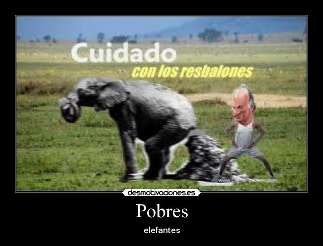 Pobres - elefantes