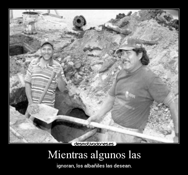 Mientras algunos las - ignoran, los albañiles las desean.