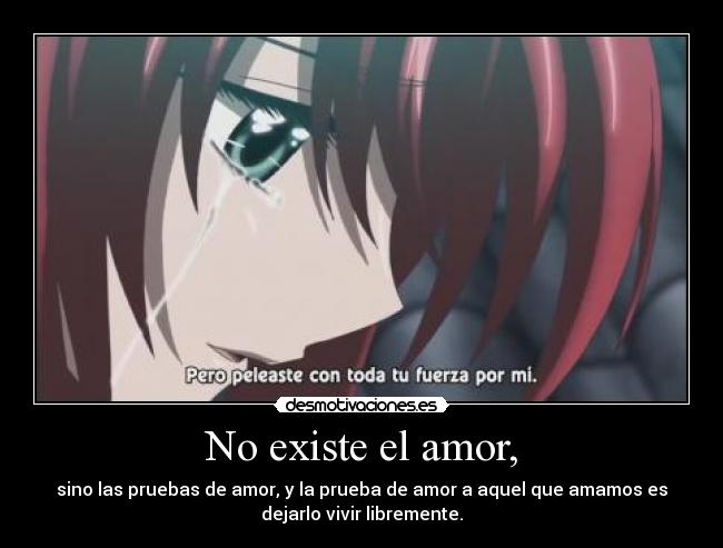 No existe el amor, - sino las pruebas de amor, y la prueba de amor a aquel que amamos es
dejarlo vivir libremente.