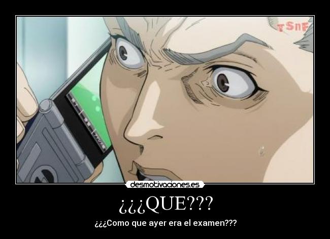 ¿¿¿QUE??? -