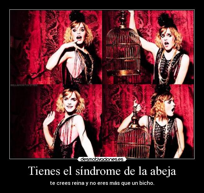 Tienes el síndrome de la abeja - 