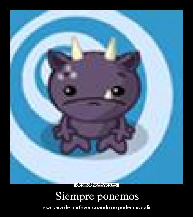 Siempre ponemos - 