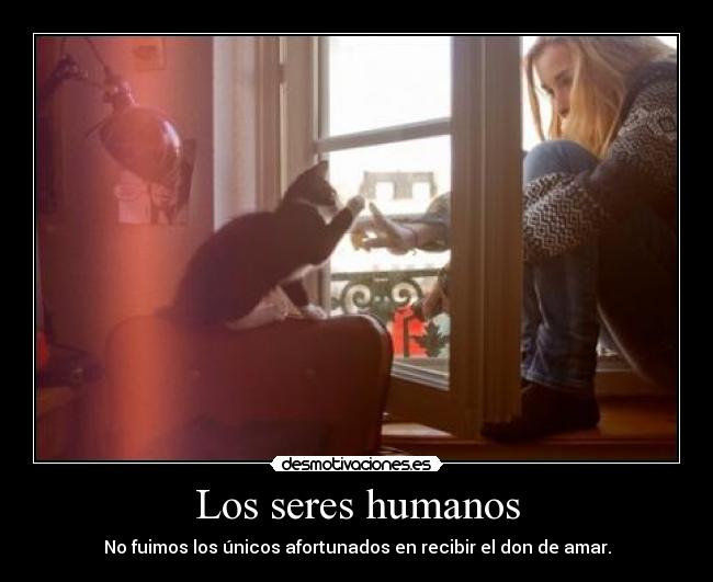 Los seres humanos - 