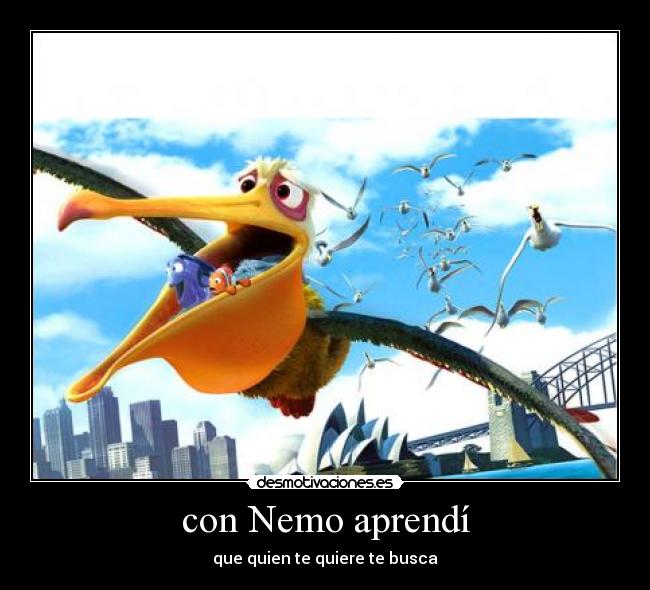 con Nemo aprendí - que quien te quiere te busca