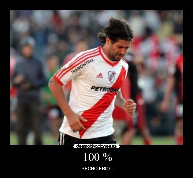 100 % - PECHO.FRIO .