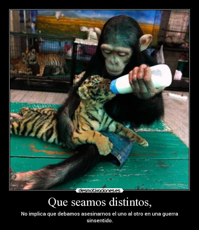 carteles haz amor guerra mejor estilo hippie desmotivaciones