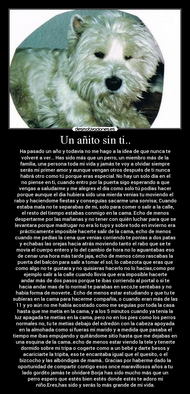 Un añito sin ti.. -