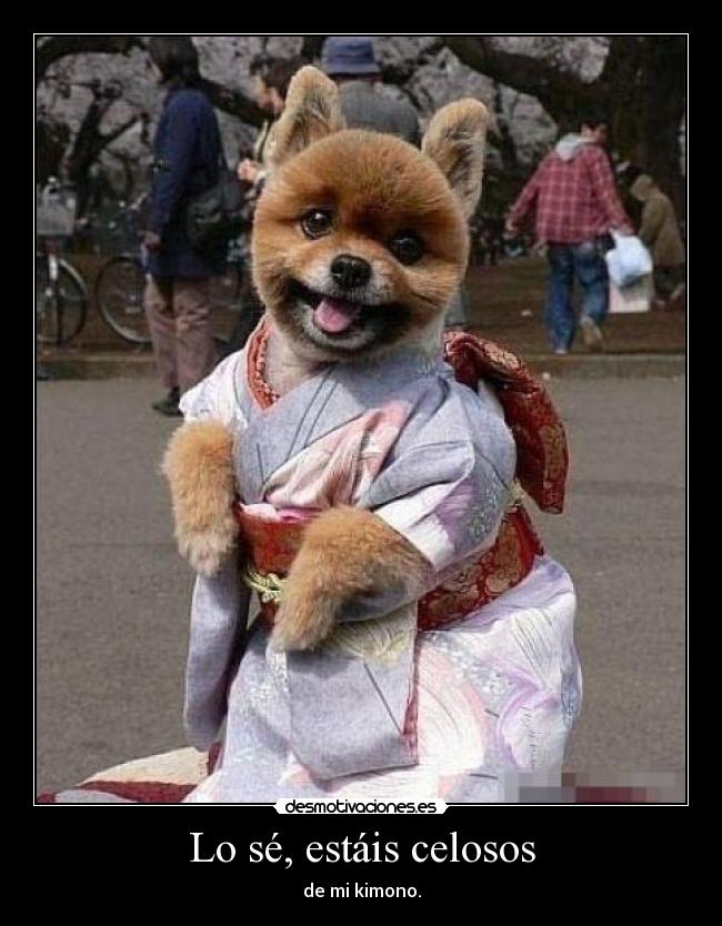 Lo sé, estáis celosos - 