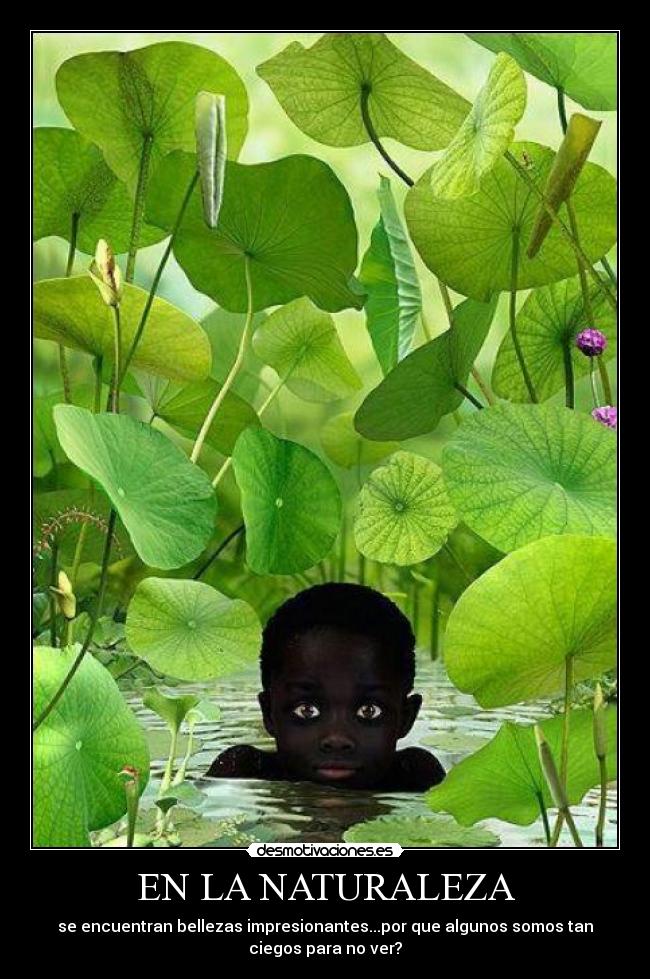 EN LA NATURALEZA -