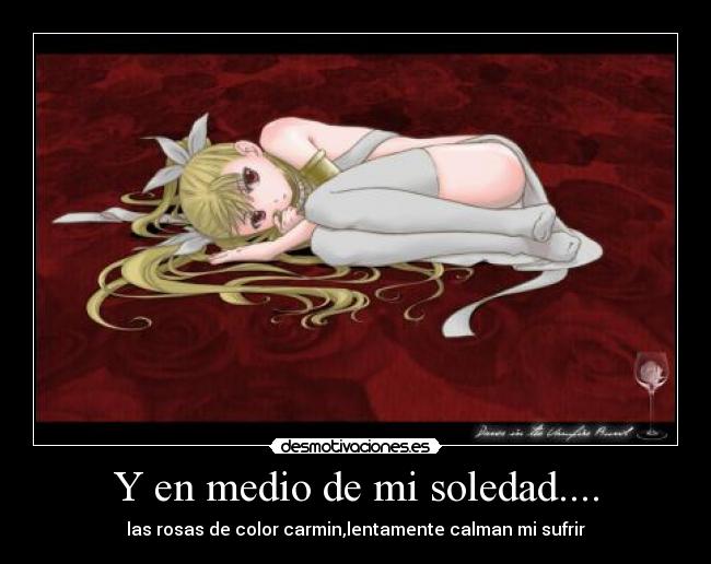 Y en medio de mi soledad.... - las rosas de color carmin,lentamente calman mi sufrir