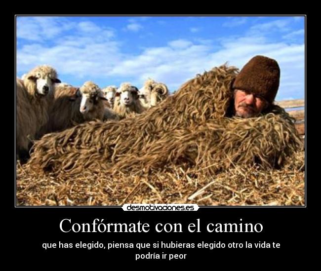 Confórmate con el camino - 