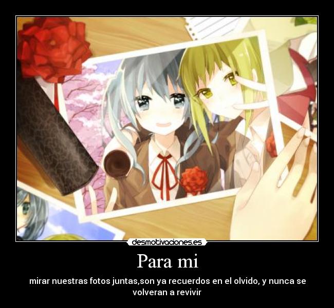Para mi - mirar nuestras fotos juntas,son ya recuerdos en el olvido, y nunca se
volveran a revivir