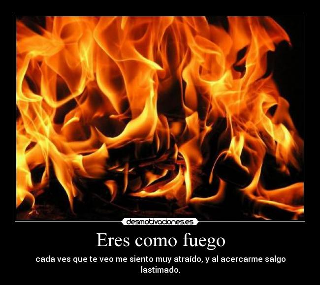 carteles injusticia del amor desmotivaciones