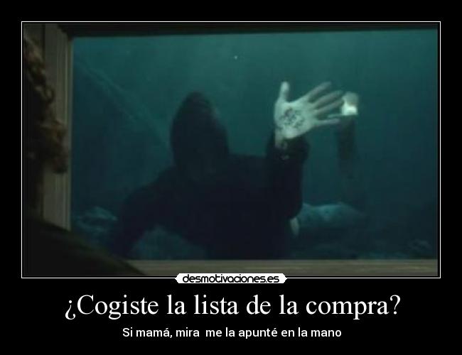 ¿Cogiste la lista de la compra? -