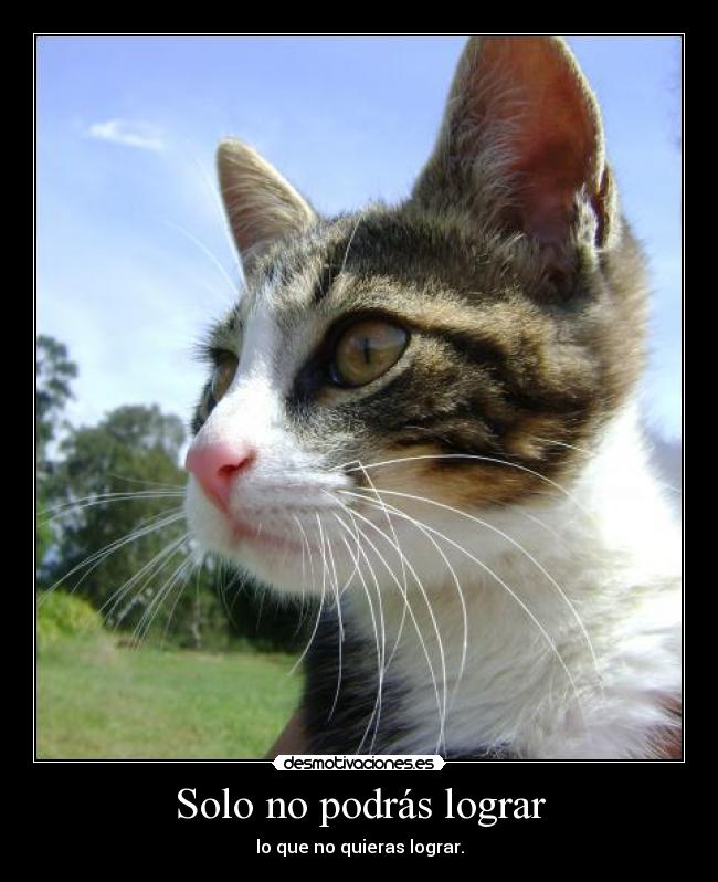 Solo no podrás lograr - lo que no quieras lograr.