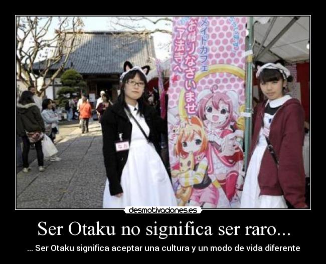 Ser Otaku no significa ser raro... -