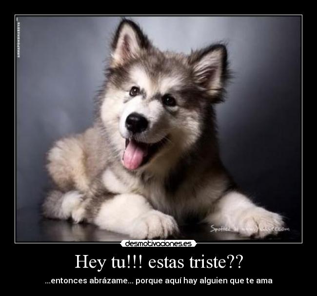 carteles 201720 desmotivaciones