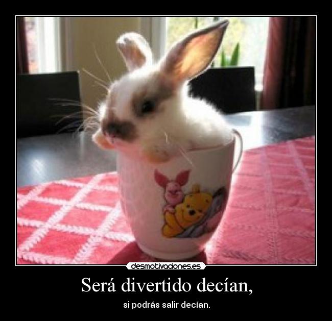 Será divertido decían, - 