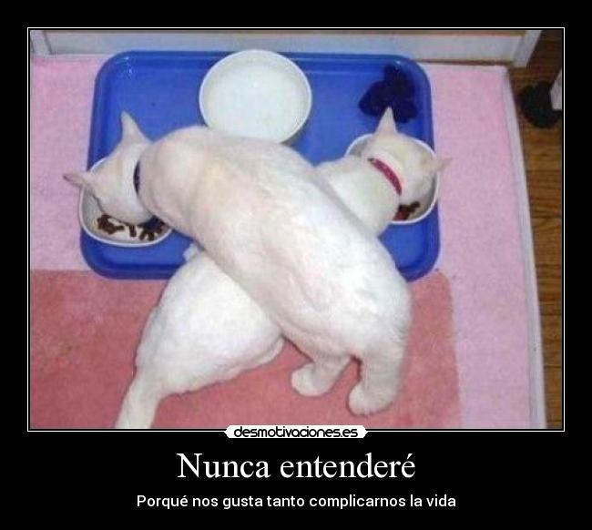 Nunca entenderé - Porqué nos gusta tanto complicarnos la vida