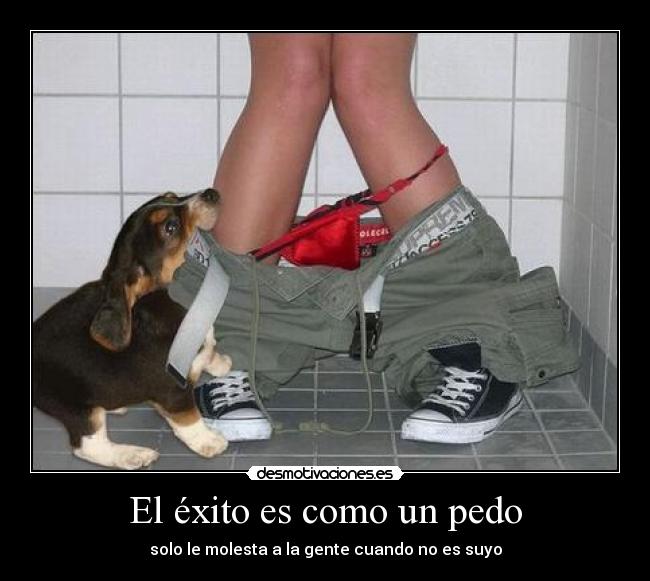 carteles gentes sus pedos desmotivaciones