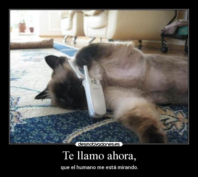 Te llamo ahora, -
