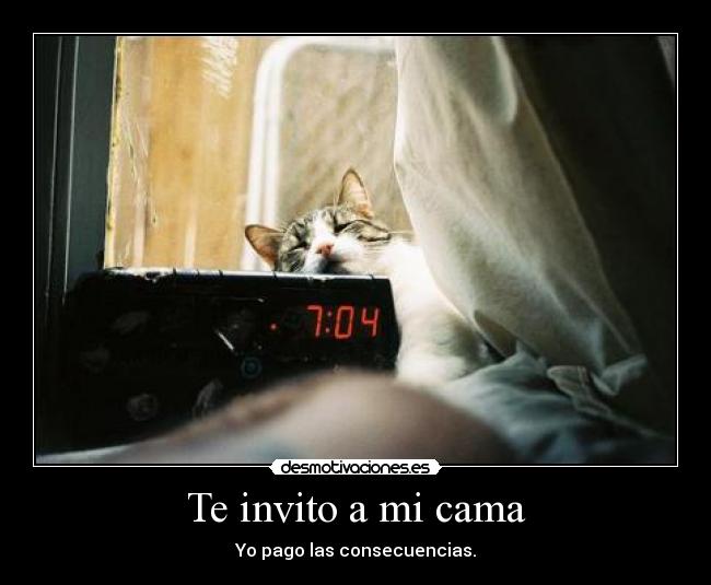 Te invito a mi cama - 