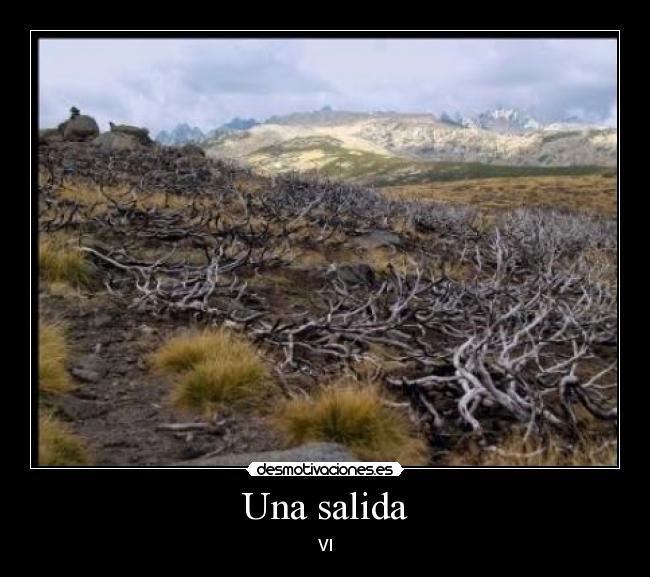 Una salida - VI