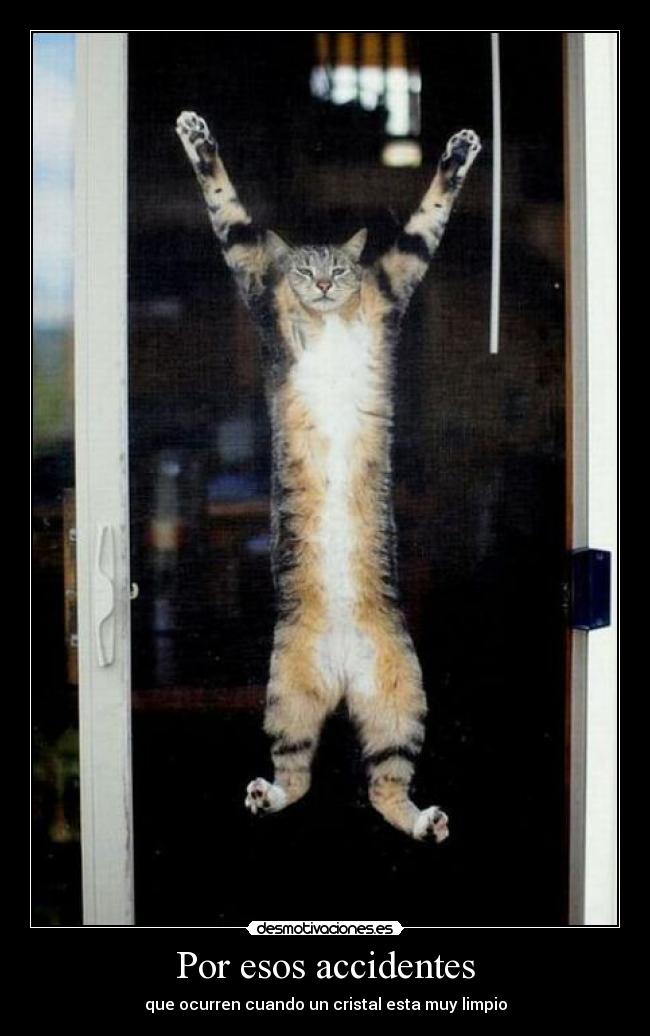 Por esos accidentes - 