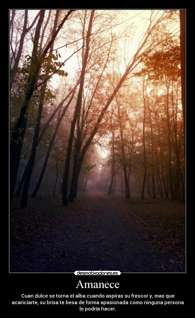 Amanece - Cuan dulce se torna el alba cuando aspiras su frescor y, mas que
acariciarte, su brisa te besa de forma apasionada como ninguna persona
lo podría hacer.