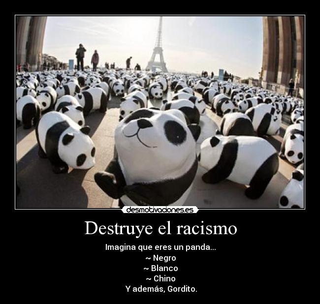 Destruye el racismo - Imagina que eres un panda...
~ Negro
~ Blanco
~ Chino
Y además, Gordito.