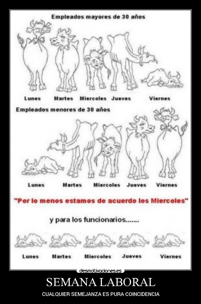 SEMANA LABORAL - 