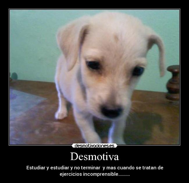 carteles ani desmotivaciones