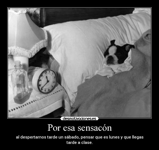 carteles lunes sabado tarde desmotivaciones