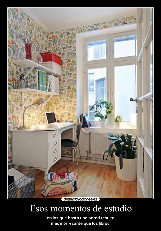 carteles para que sirve estudiar explicadmelo xdd desmotivaciones