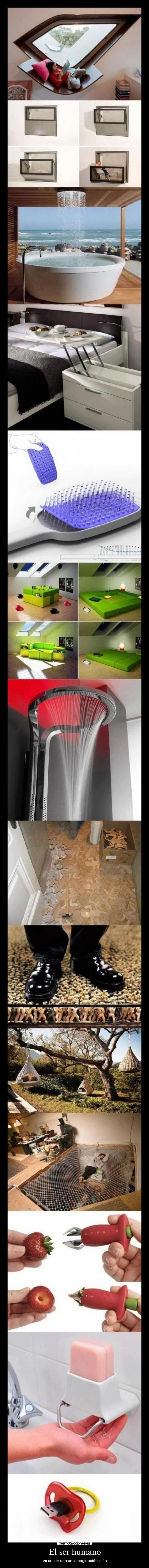 carteles ser humano desmotivaciones