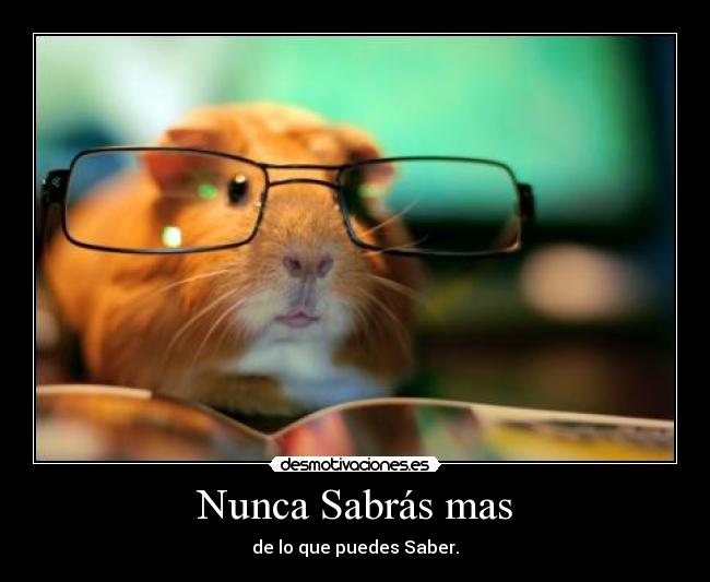 Nunca Sabrás mas -