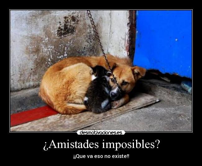 ¿Amistades imposibles? -