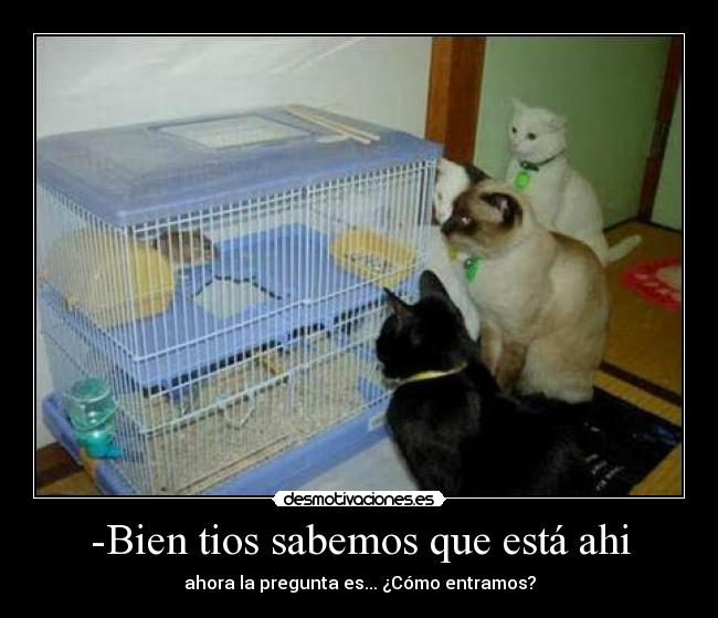 carteles desmotivaciones