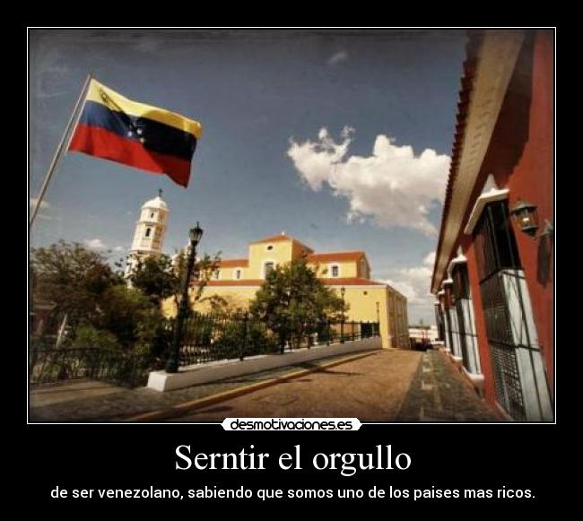 carteles venezuela tuya desmotivaciones