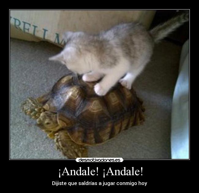 ¡Andale! ¡Andale! - 