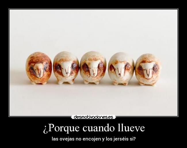 ¿Porque cuando llueve - las ovejas no encojen y los jerséis si?
