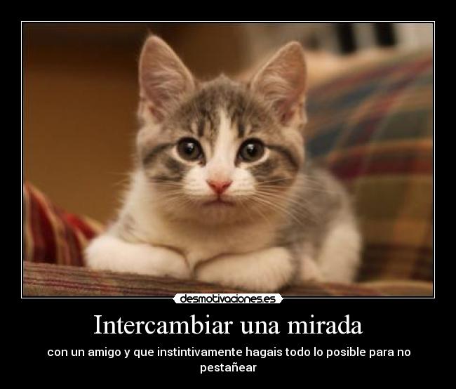 carteles asdafrsgthyrthytr desmotivaciones